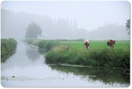 Nederland ontvangt elk jaar bijna 1 miljard euro vanuit de Europese Unie (EU) voor het Gemeenschappelijk Landbouw Beleid (GLB). Dat bedrag wordt lager en de regels veranderen. Populytics vroeg Nederlanders in een PWE-raadpleging welke doelen en voorwaarden zij belangrijk vinden in het nieuwe GLB.